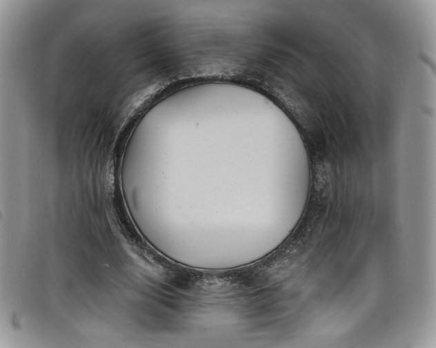 X0000098200632200804241253