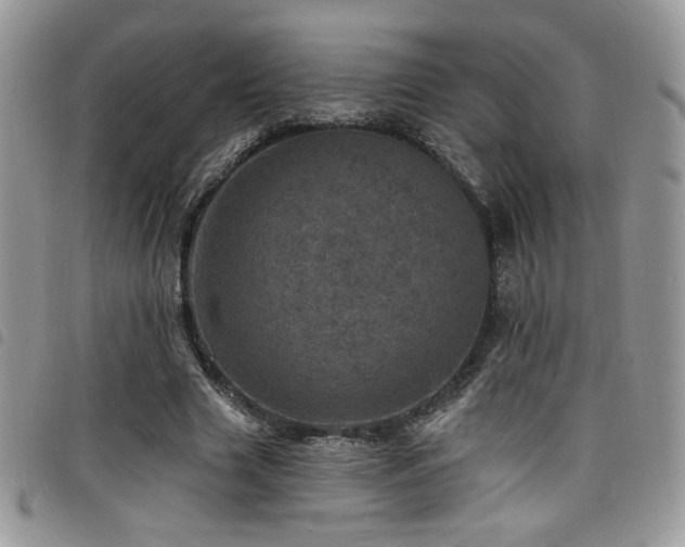 X0000098200633200804241253