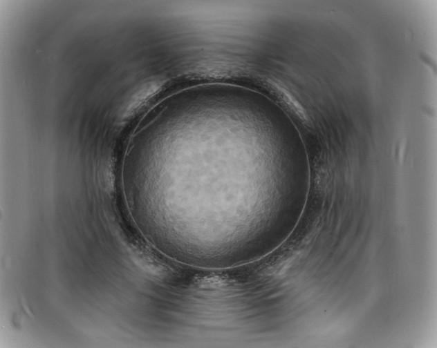 X0000098200635200804241253
