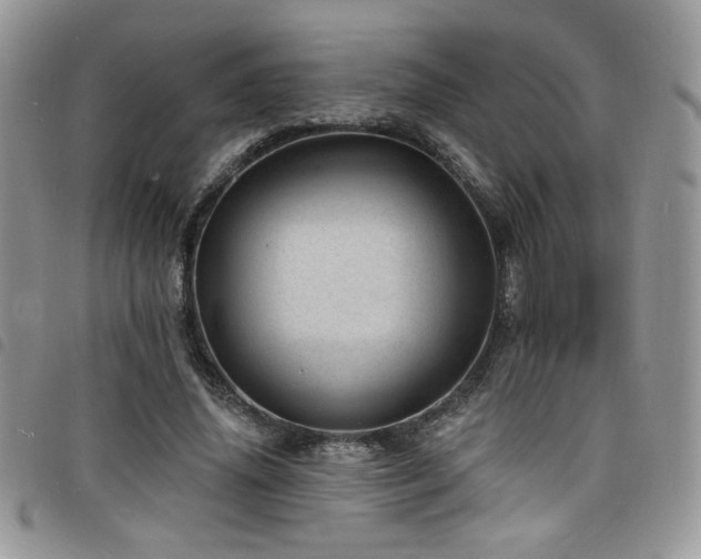 X0000098200636200804241253