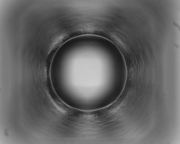X0000098200638200804241253