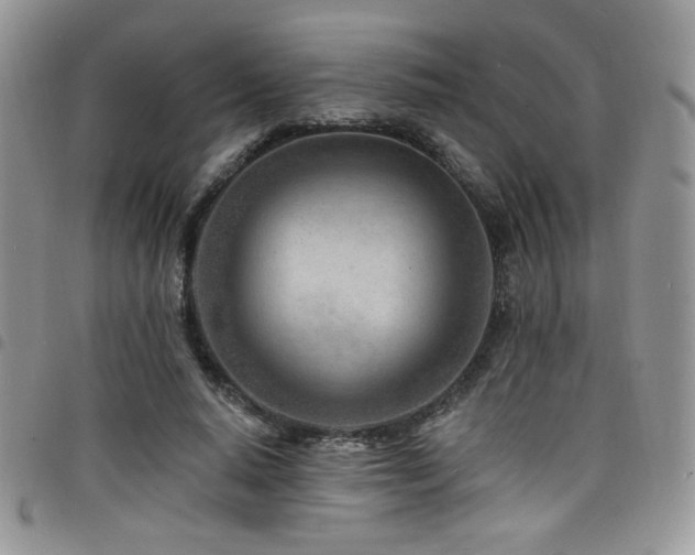 X0000098200640200804241253
