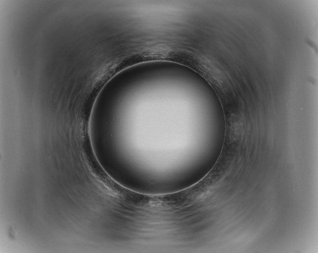 X0000098200641200804241253