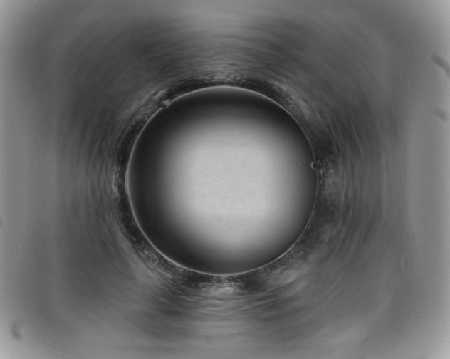 X0000098200643200804241254