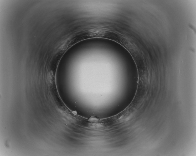 X0000098200649200804241254