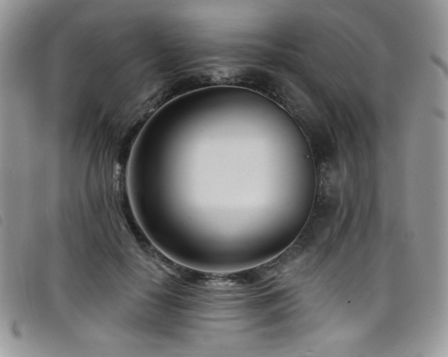 X0000098200650200804241254