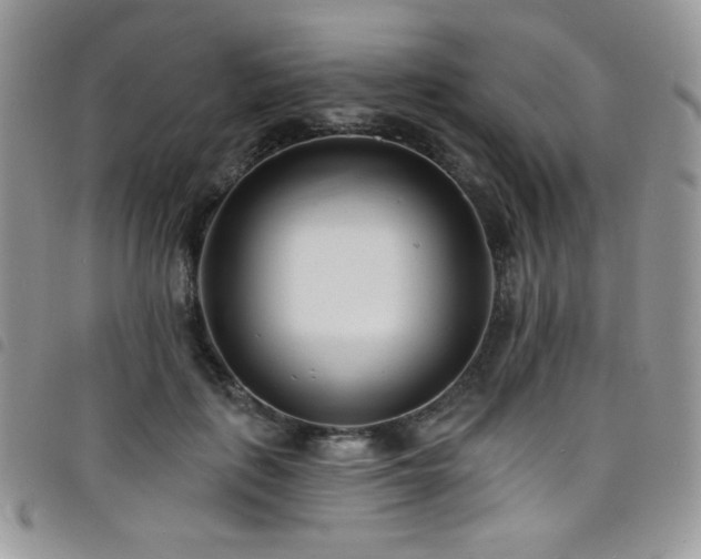 X0000098200651200804241254
