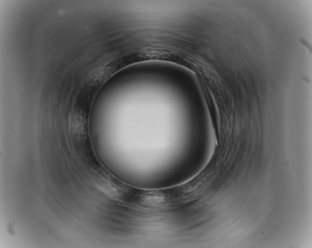 X0000098200653200804241254