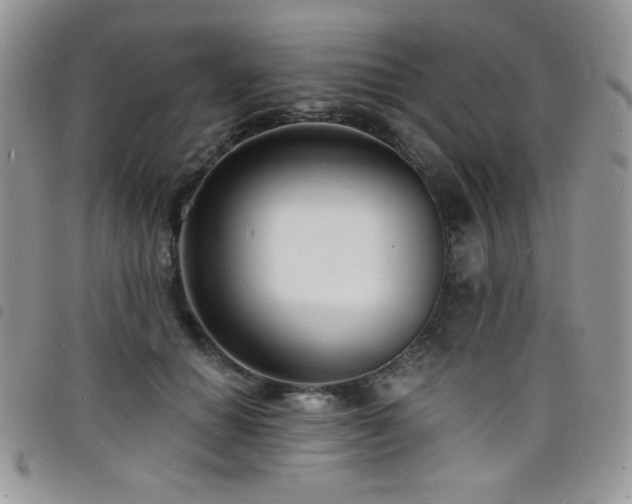 X0000098200654200804241254
