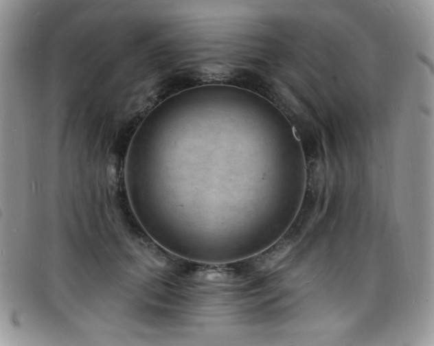 X0000098200655200804241254