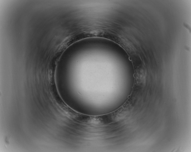 X0000098200656200804241254