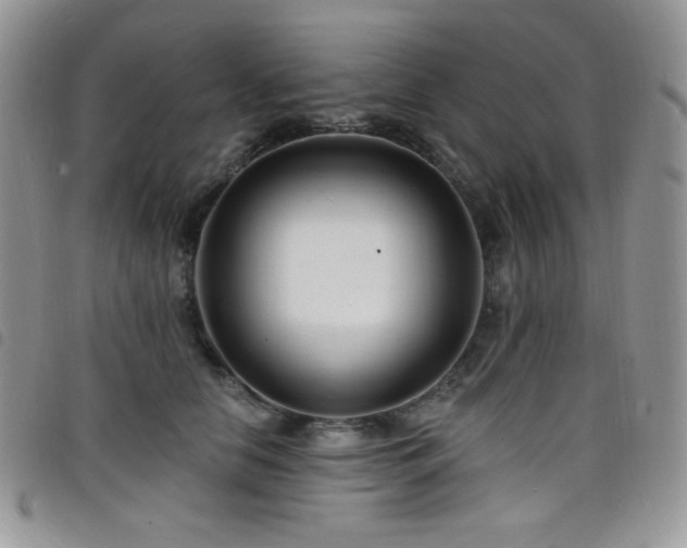 X0000098200658200804241254