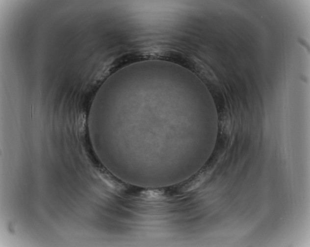 X0000098200660200804241254