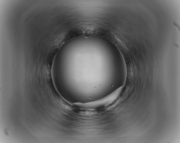 X0000098200661200804241254