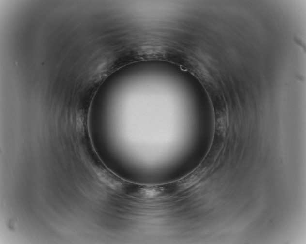 X0000098200662200804241254