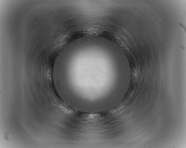 X0000098200663200804241254