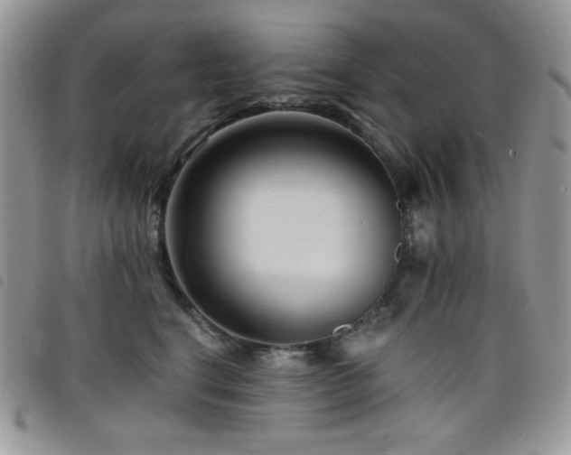 X0000098200664200804241254