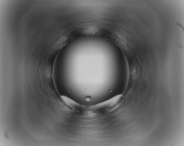 X0000098200665200804241254