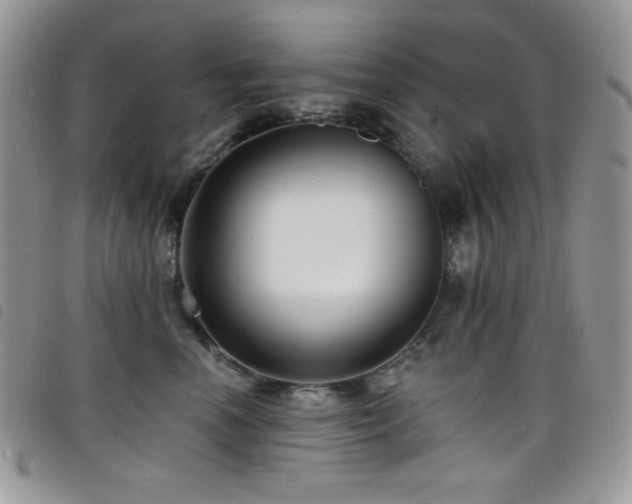 X0000098200666200804241254