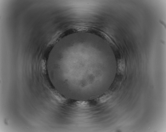 X0000098200667200804241254