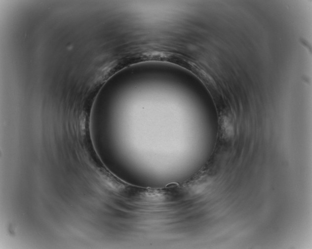 X0000098200668200804241254