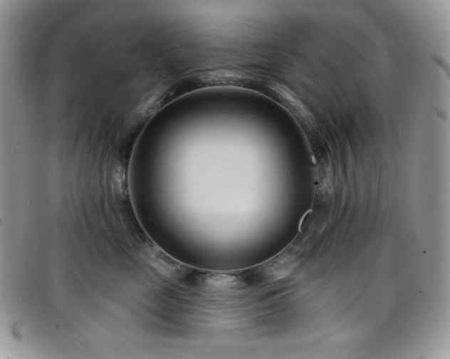 X0000098200669200804241254