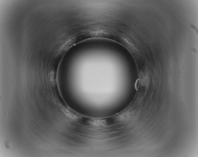 X0000098200670200804241254