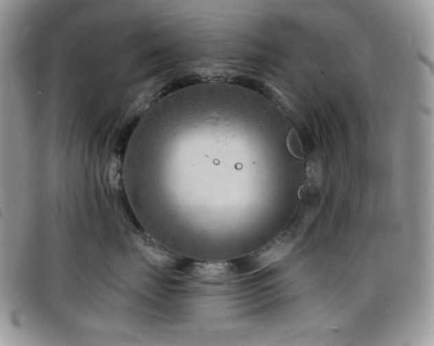 X0000098200671200804241254