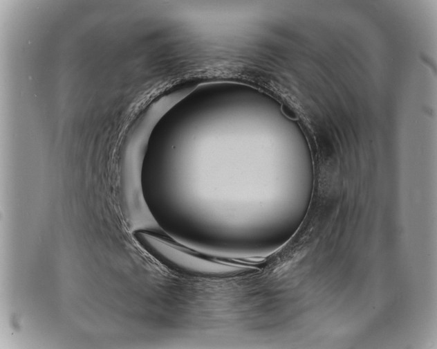 X0000098200673200804241253