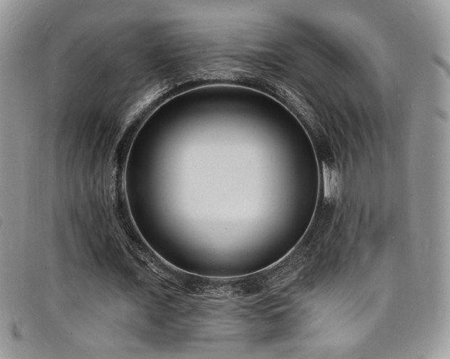 X0000098200675200804241253