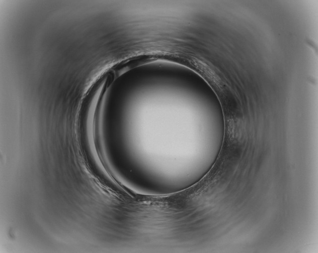 X0000098200676200804241253