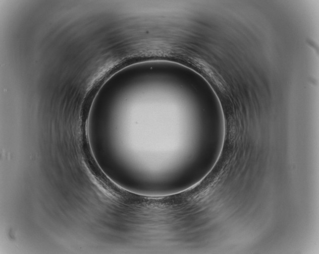 X0000098200677200804241253