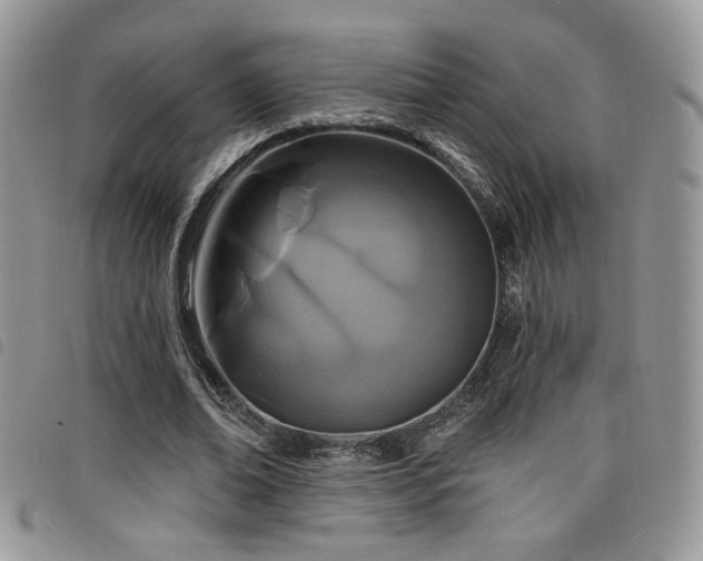 X0000098200678200804241253