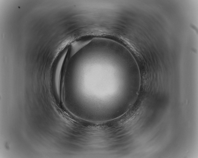 X0000098200679200804241253