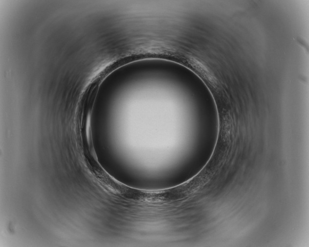 X0000098200680200804241253