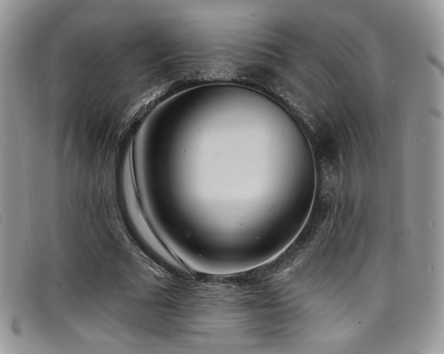 X0000098200681200804241253