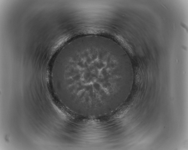 X0000098200683200804241253