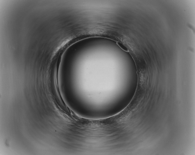 X0000098200684200804241253