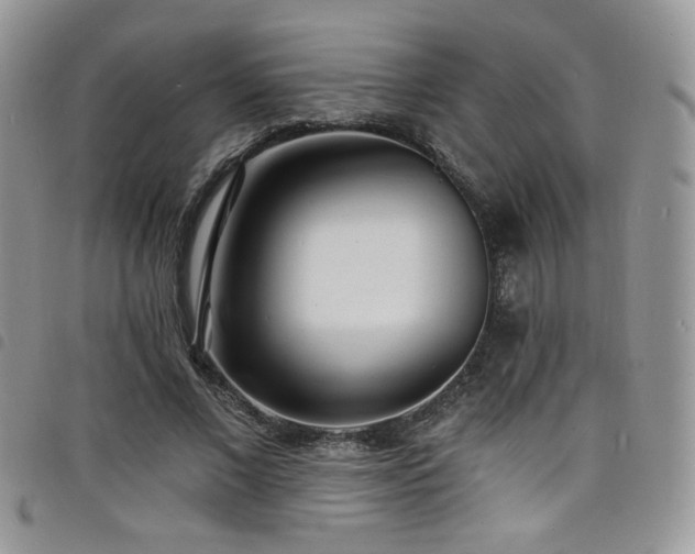 X0000098200685200804241253