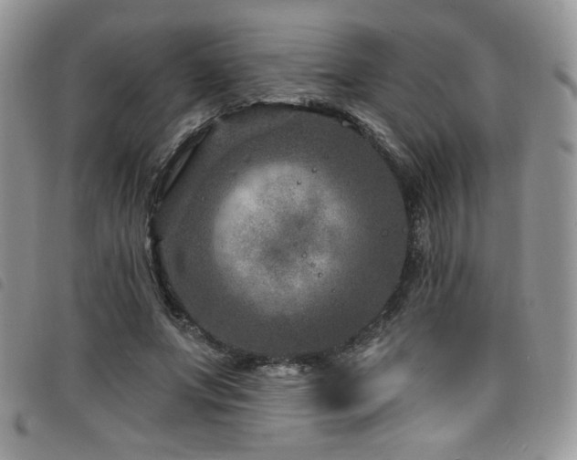 X0000098200687200804241253