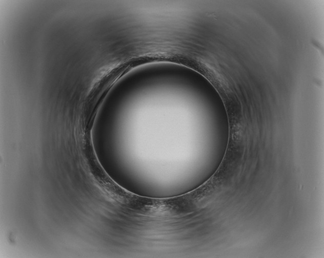 X0000098200688200804241253