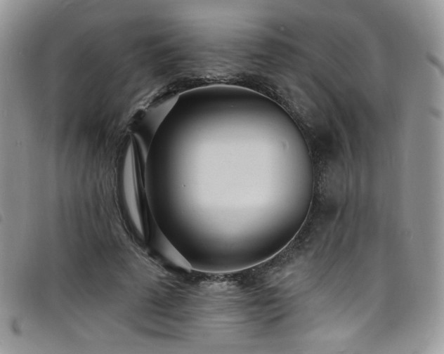 X0000098200689200804241253