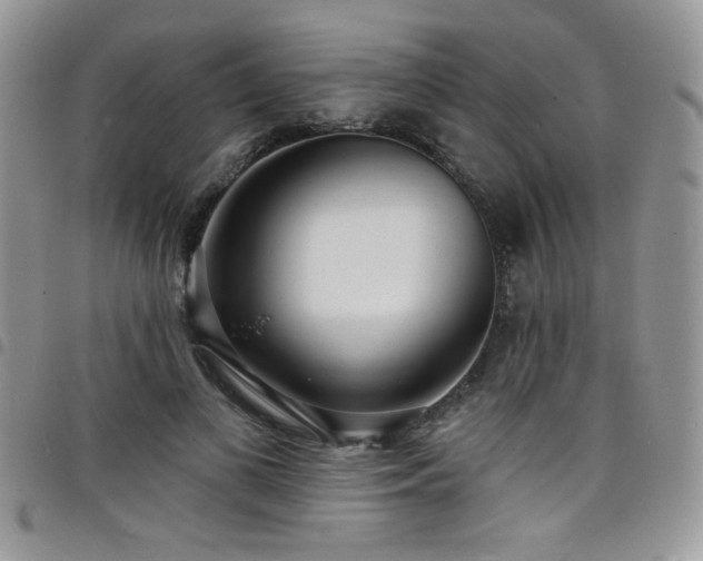 X0000098200693200804241253