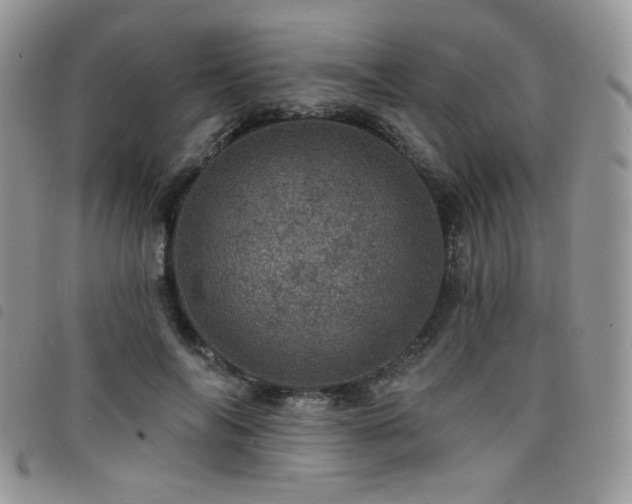 X0000098200694200804241253