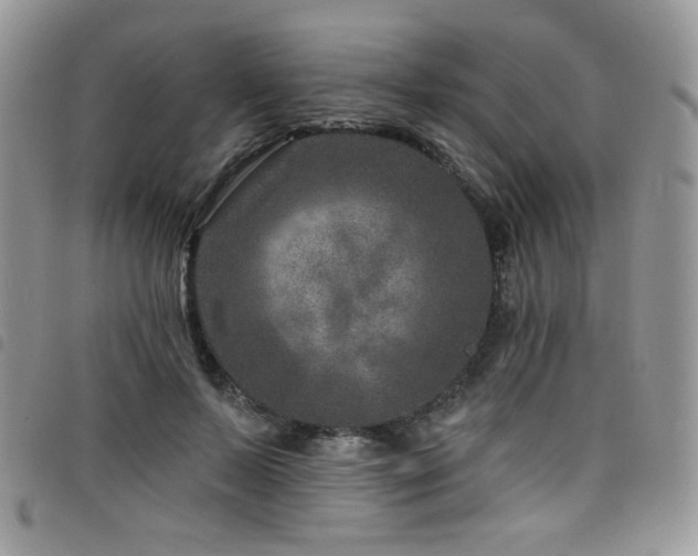 X0000098200695200804241253
