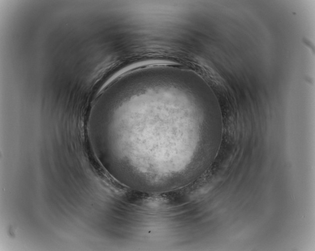 X0000098200696200804241253