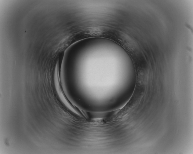 X0000098200697200804241253