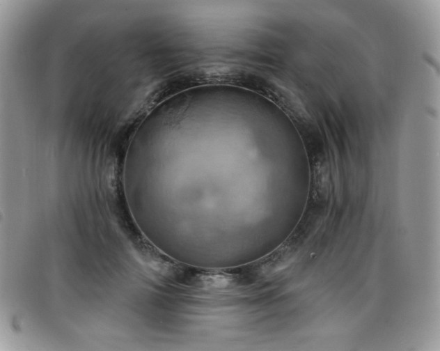 X0000098200698200804241253
