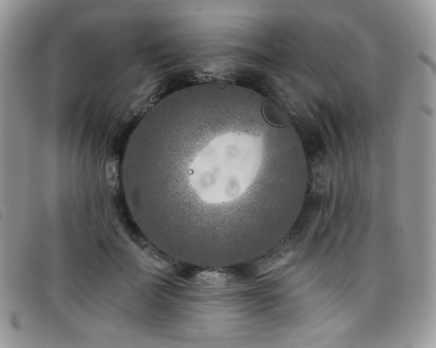 X0000098200699200804241253