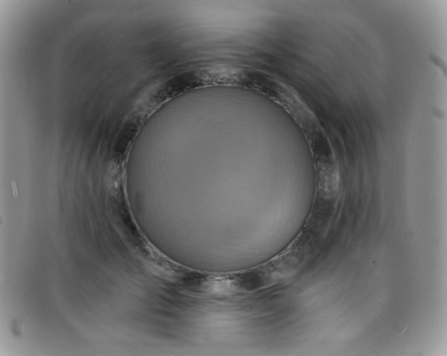 X0000098200701200804241253